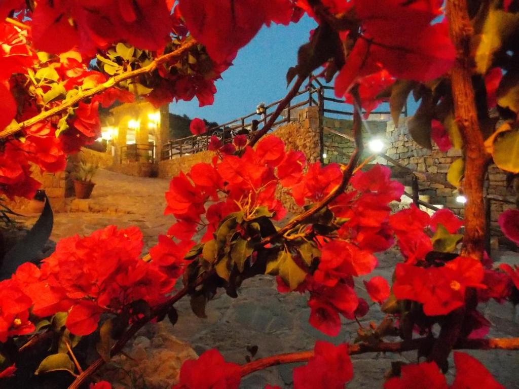 Casale Del Golfo ξενώνας Castellammare del Golfo Εξωτερικό φωτογραφία