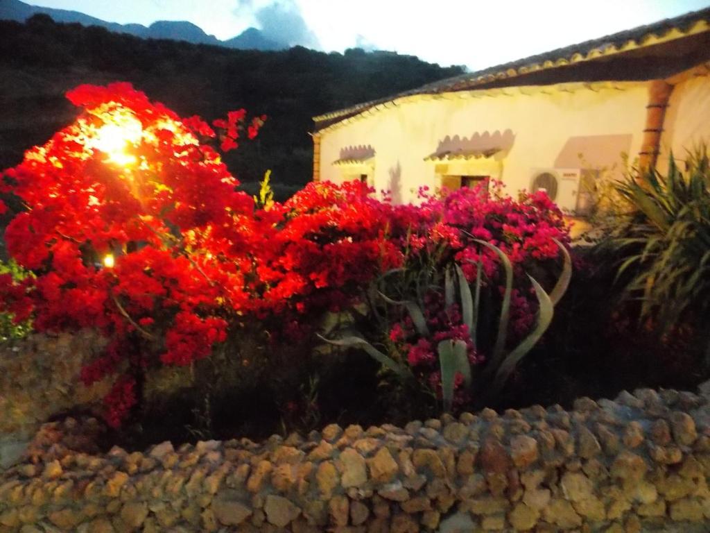 Casale Del Golfo ξενώνας Castellammare del Golfo Εξωτερικό φωτογραφία
